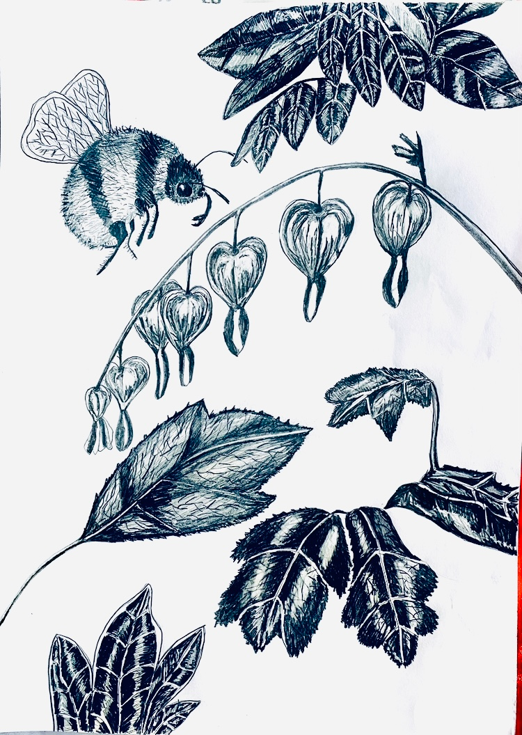 Thumbnail: HAELAN book of Poetry from the Garden featuring my Fine Art Illustrations 