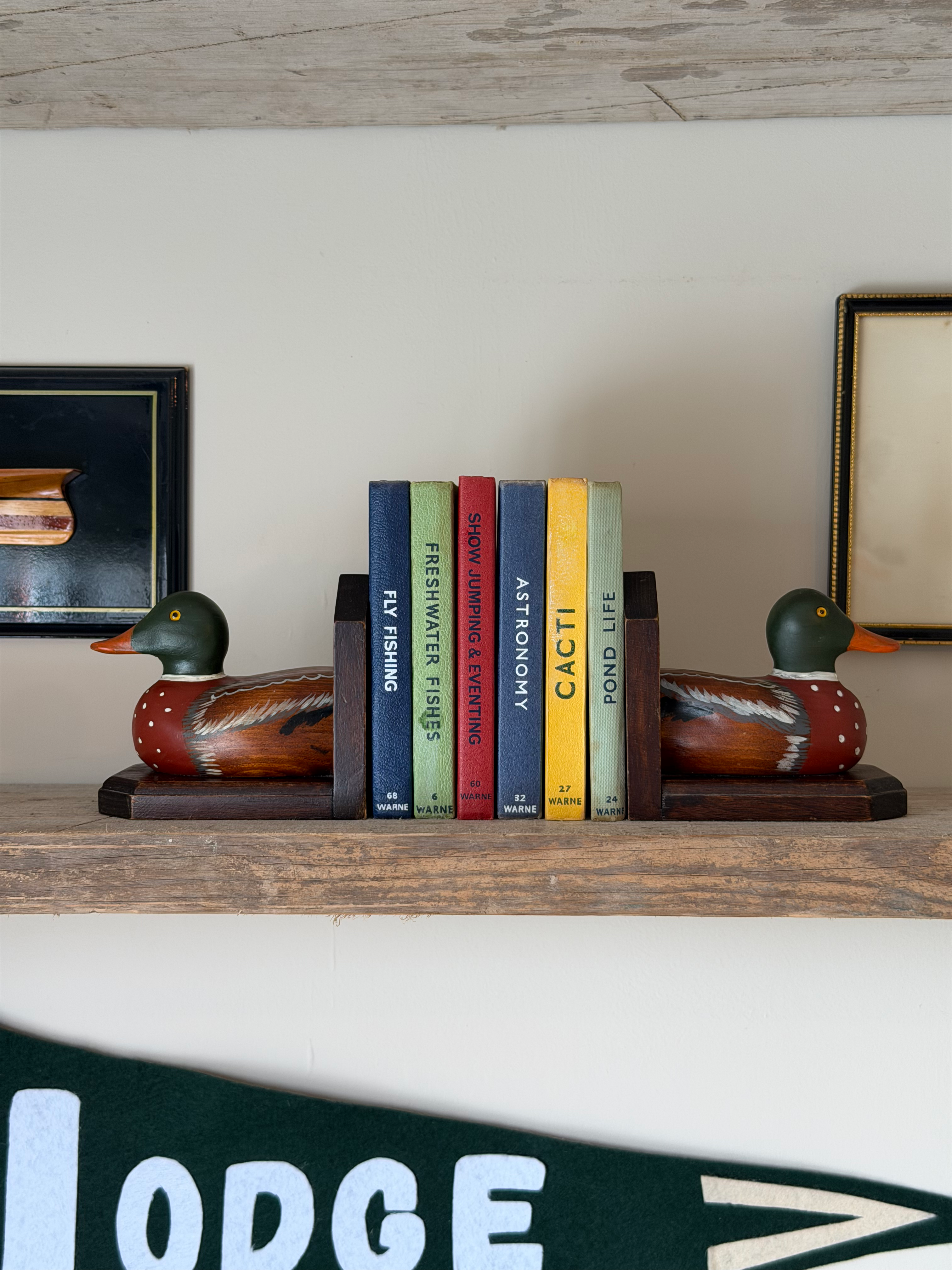 Hand Painted Duck Book Ends