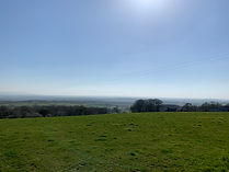 image00039.jpeg