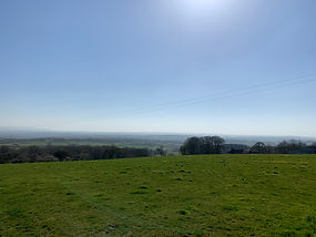 image00039.jpeg