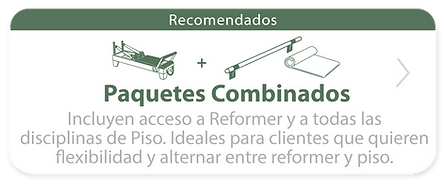 Mesa de trabajo 2 copia 11.png