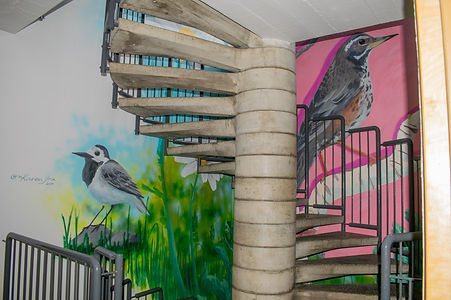 vegglist, xkarenyrx, Karen Ýr, mural, reykjavík, ísland, artist, málverk