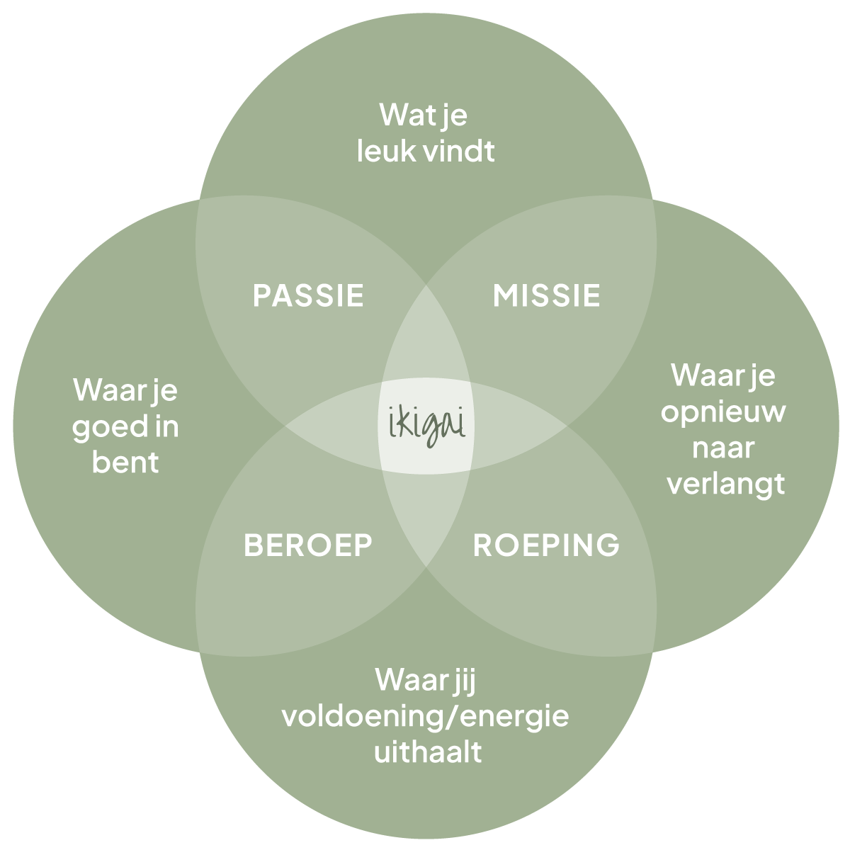 visualisatie-ikigai.png