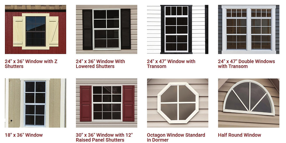 WINDOW OPTIONS.jpeg