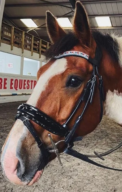 Thumbnail: Prestige 5 Row Browband - Light Siam, Crystal and Capri Blue
