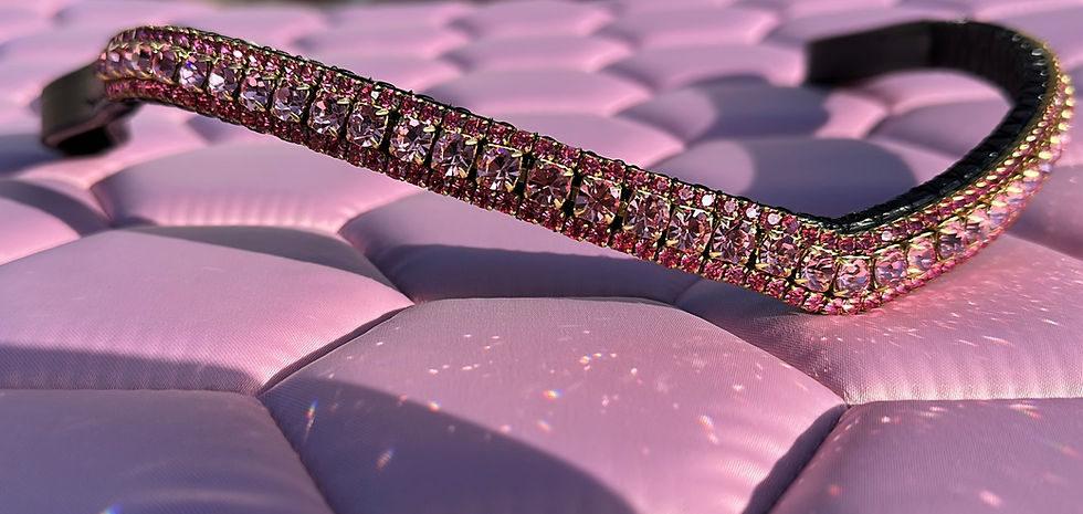 Thumbnail: Prestige 3 Row Browband - Rose / Light Rose 