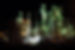 industrial supply petrochemical company