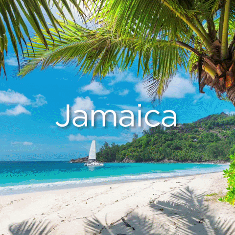 Jamaica1634051408_1503491_gif-url.gif