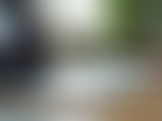 Mastering Online Interview Skills for Career Success