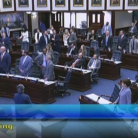 Lefty Protesters Screech Like Demons as FL House Votes to Strip Disney’s Self Governing Status (Vid)