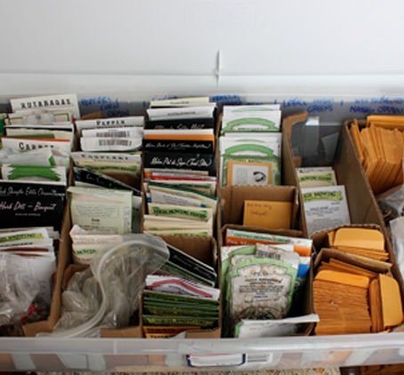 Understanding seed packet information for a successful home garden