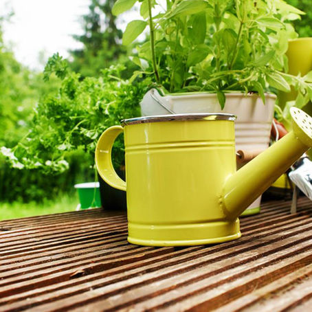 Home gardening basics: Why you should start making DIY fertilizer for your garden