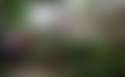 Kavanaugh's Neighbor Claims Pro-Abortion Protesters Are Threatening Homeowners