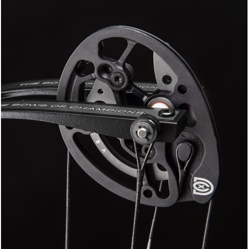 HOYT DCX Cam Set*