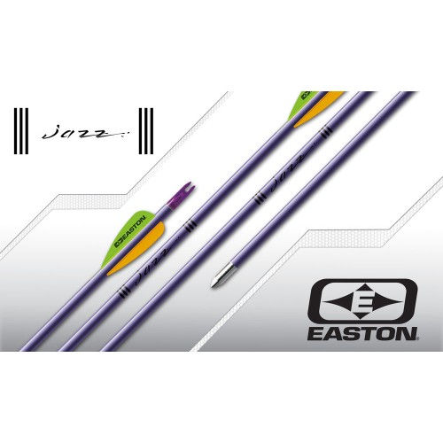 Easton XX75 Jazz Purple Arrow Easton Made 12*