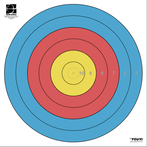 Youyi Sports Archery Target Face 80cm 6 Ring Waterproof 1*