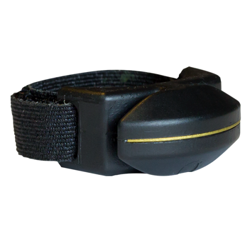 Specialty Archery Ring Blade*