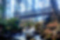 Colton Pond Bridge_edited.jpg