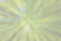 AdobeStock_285514479_edited.jpg