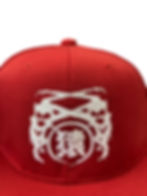 Miniatura: RMC SARU Cap RSC-RDW