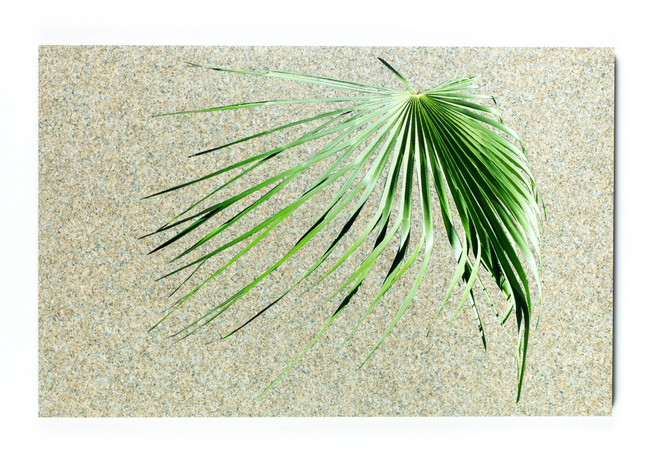 Untitled I (Palm I)