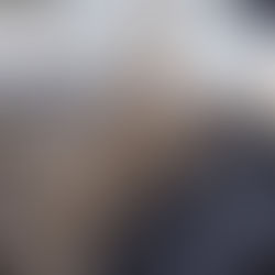 猫ちゃんの熱中症にご注意ください