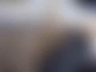 猫ちゃんの熱中症にご注意ください