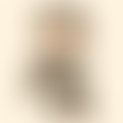 猫の交通事故死について