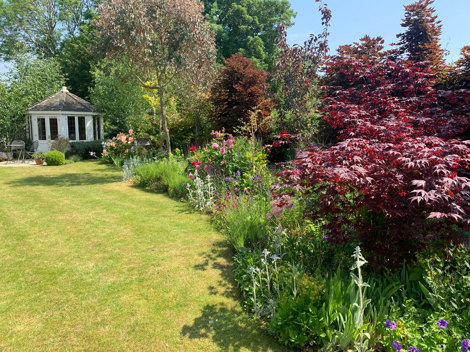 Mature Border