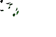 fogliechecadono.gif