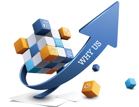 Why Us, Elevate Web Design