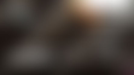 土地征用程序中的 N 表格：土地審查程序中的参与权