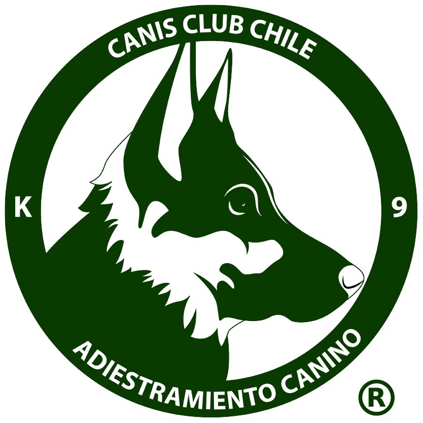 Foto del escritor: Canis Club Chile Adiestramiento Canino k-9