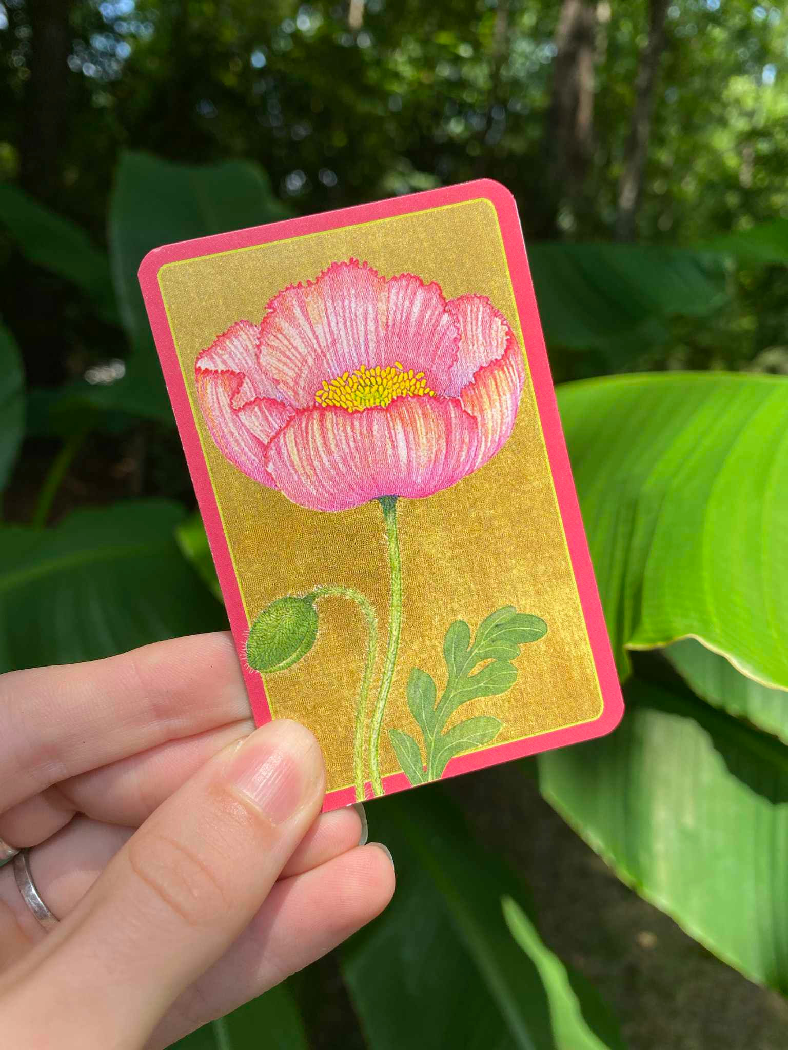 Poppy Magnet