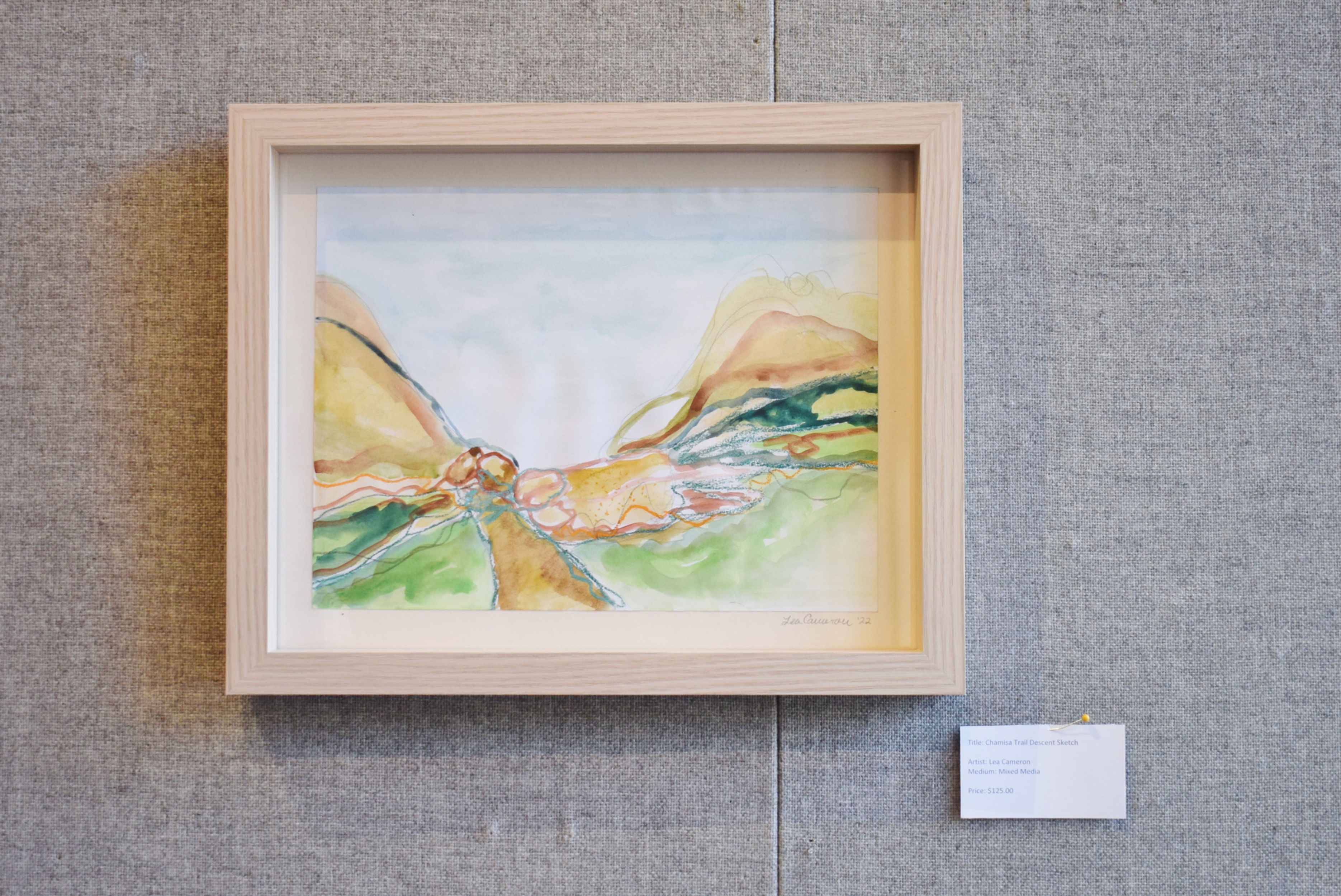 Chamisa Trail Descent Sketch