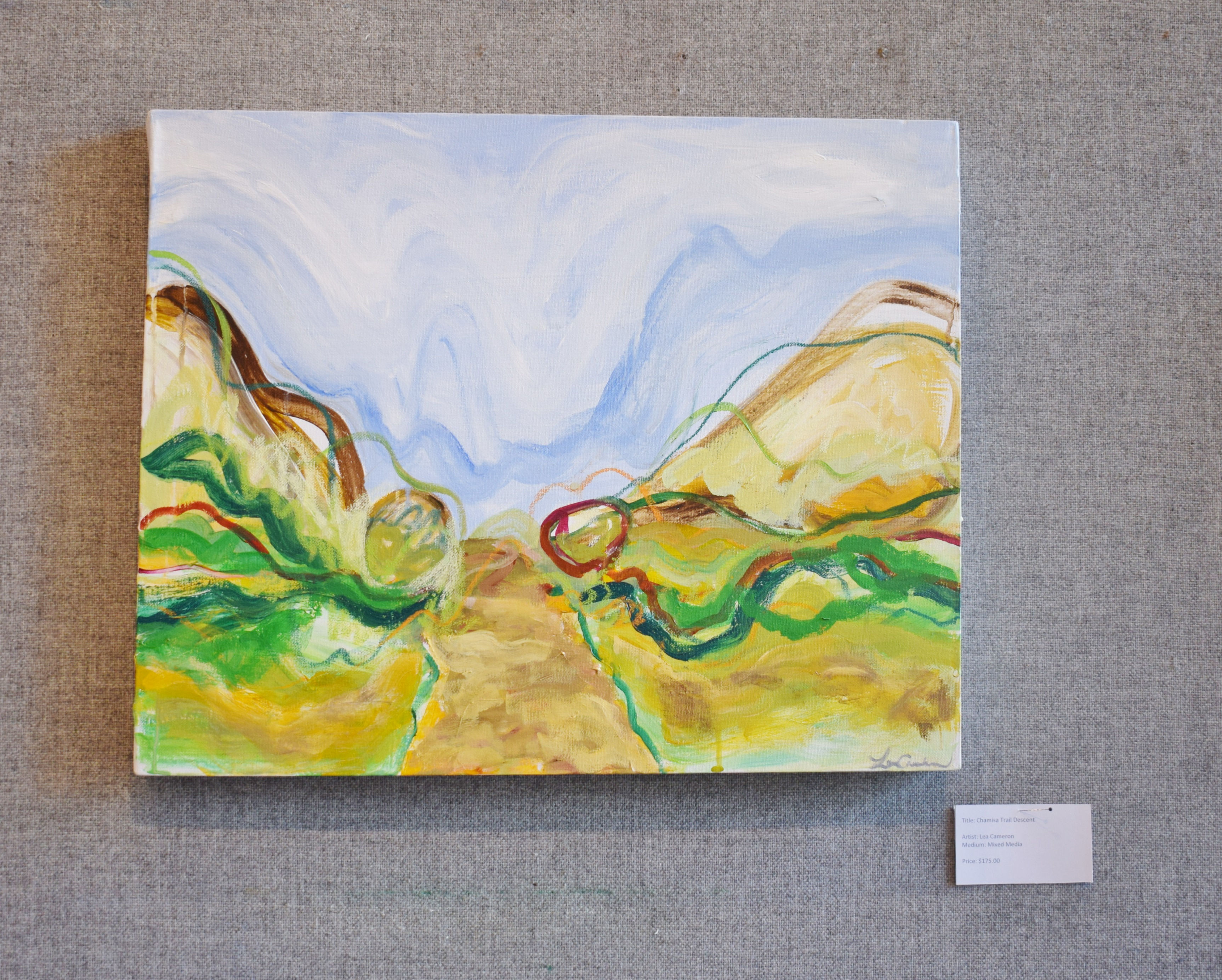 Chamisa Trail Descent