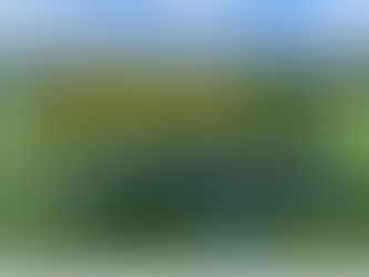 高円宮杯JFA U-18サッカーリーグ青森2022 2部 第14節
