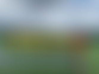 高円宮杯JFAU-18サッカーリーグ青森2022 1部 第14節