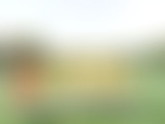 高円宮杯JFA U-18サッカーリーグ青森2023 1部 第5節