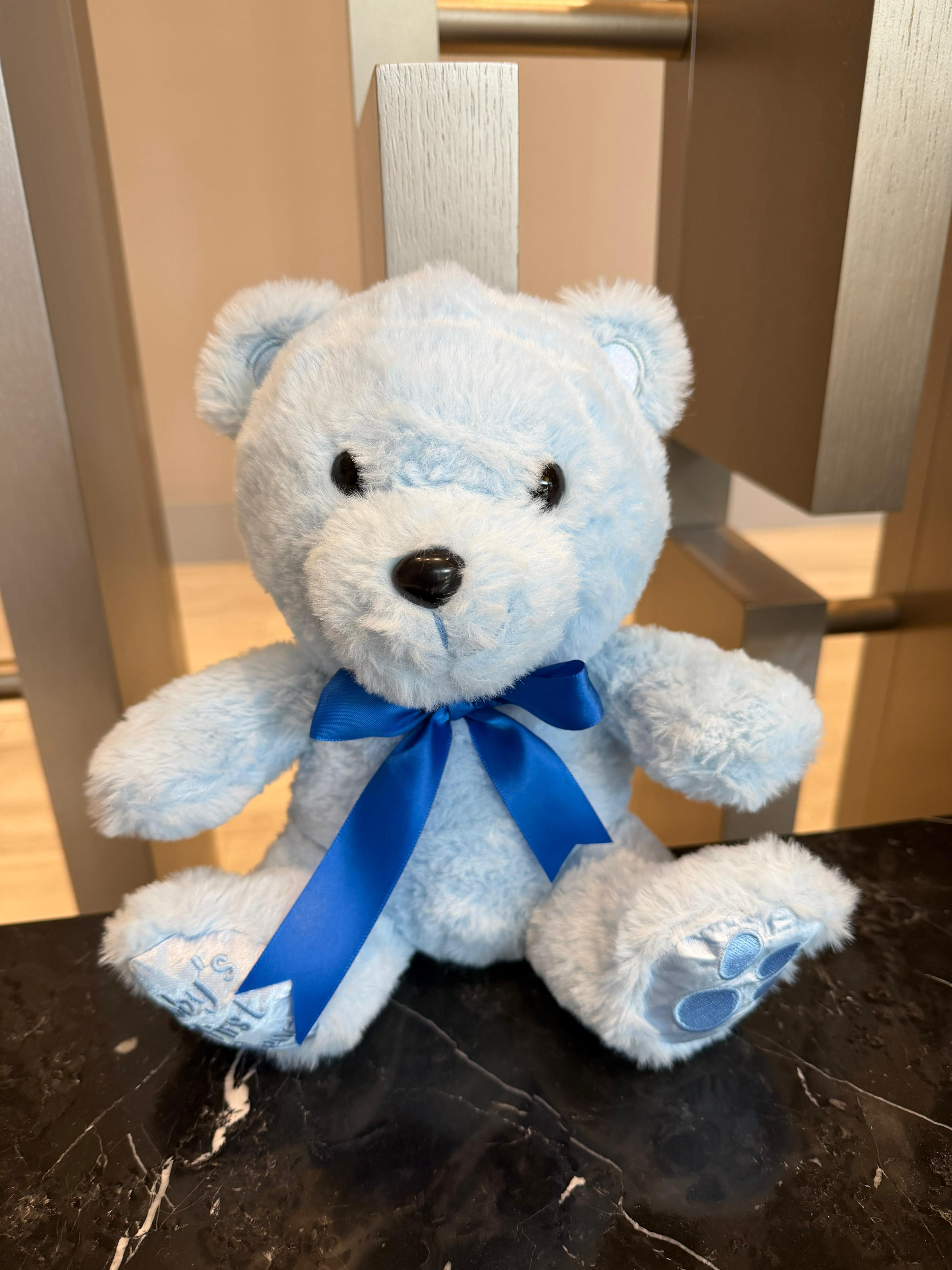 Blue Teddy Bear