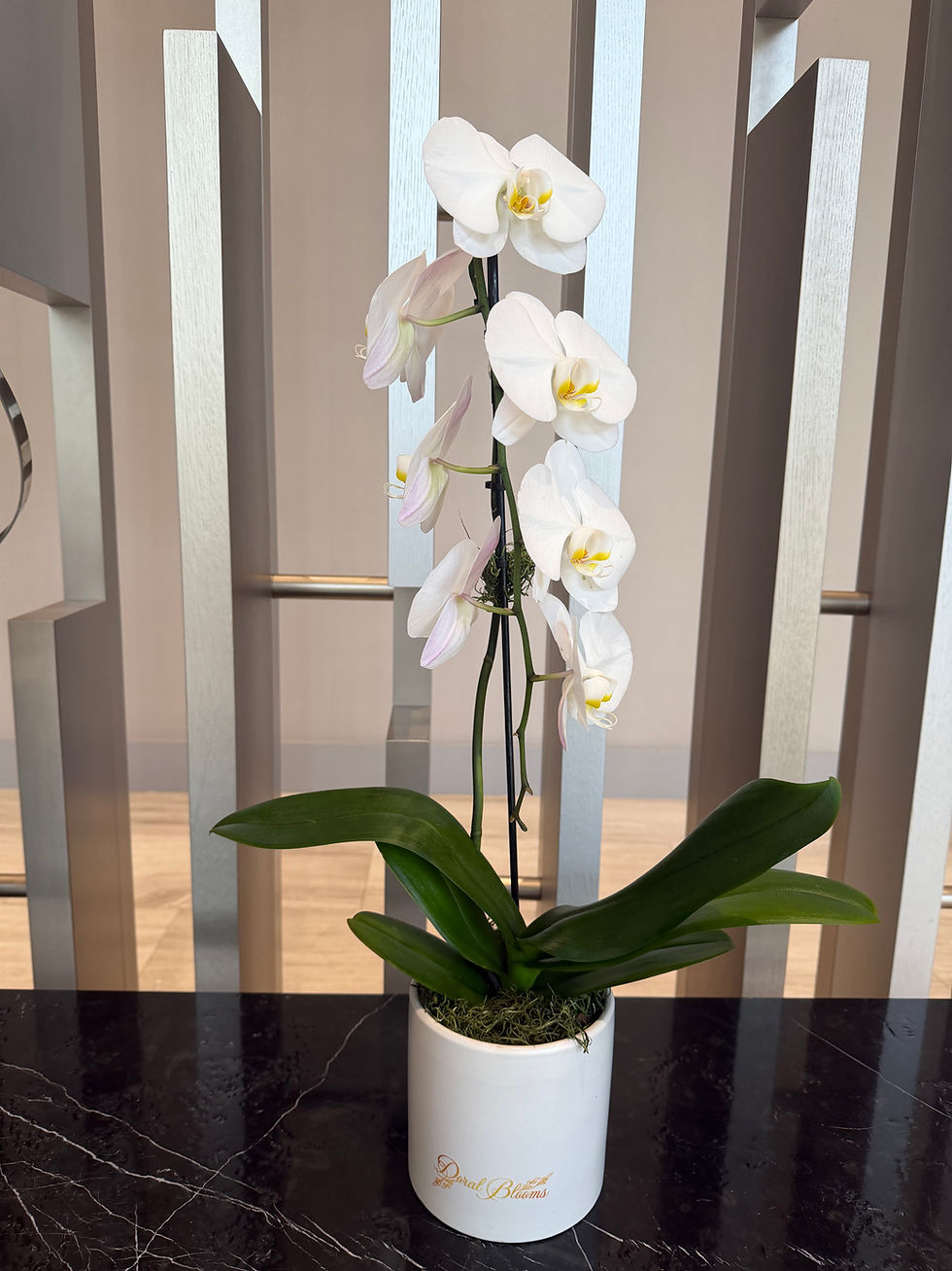 Thumbnail: Elegant One-Stem Orchid