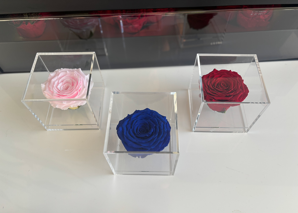 Thumbnail: Pink, blue, and red preserved roses in clear boxes on white surface.