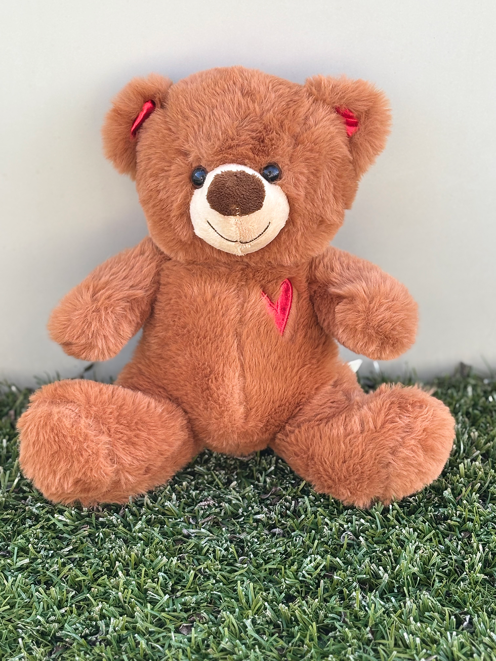 Brown teddy bear sitting on green grass, red heart, and details present.
