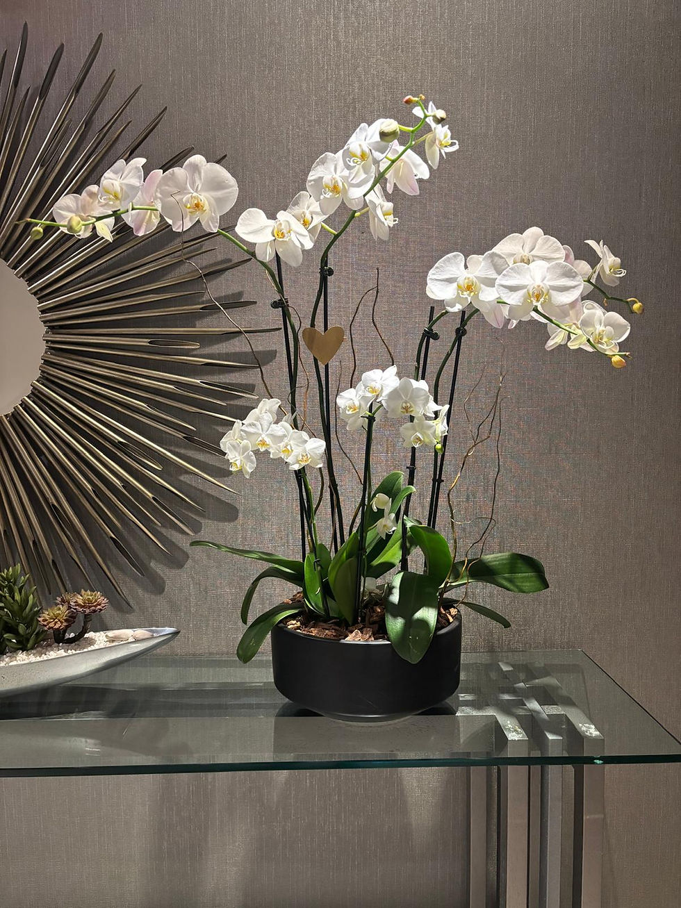 White orchids in a black vase on a glass table Doral Blooms