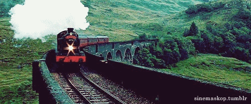 tumblr_mhikxcuKGT1rrh86co1_500.gif