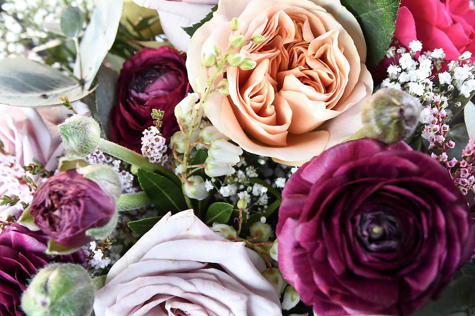 Wild Lotus Florals