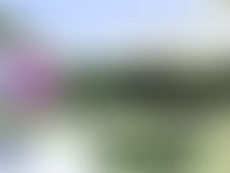 TIPS / THE ULTIMATE WEDDING EXPERIENCE GUIDE, PART 1