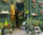 floristeria_calendula.jpg