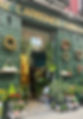 floristeria_calendula.jpg