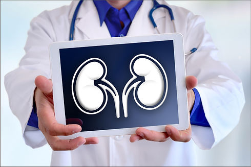 Kidney Health